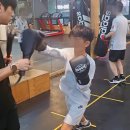 성남 복싱 체육관 이미지