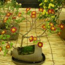 구수골농장 이미지