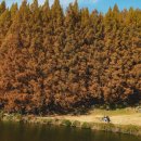 주차장 화장실 | 한국외대 용인캠퍼스 명수당 단풍명소 후기 (주차장/화장실 정보)