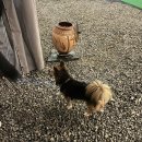 플렉스 풀빌라 | 경주 보문단지 가성비 펜션 ‘헤븐(구 플렉스)풀빌라펜션 F1 내돈내산 후기