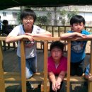 다솜목장 이미지