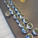 공공용 46 | 오픈형 다육이 테라리움 만들기｜인천 공공기관 단체수업 후기