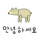 바른손타이