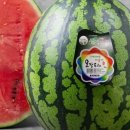 골든박스 이미지