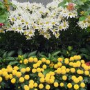 행정사 김동진 사무소 이미지