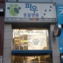 파우동물병원 네이버블로그