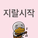 보배세탁소 | 말아오라는 드림쇼는 안 말아오고 完