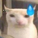 쾌남카써비스 | 그대 잠든 밤 꿈속으로 찾아가