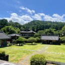 제주 자락 | 제주 절 추천 고즈넉한 사찰 불탑사 방문 후기