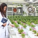 그린유통 이미지