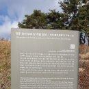 영주 류빈 묘비 및 석물 일괄 네이버블로그