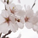 속초1리 마을회관 이미지