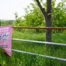 남산금오마을 이미지