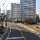여월로 Daum카페