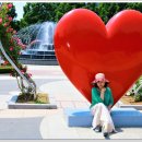 백조호수공원 이미지