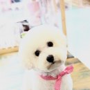 예쁜미용 이미지