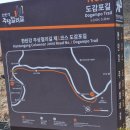 장탄교