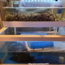 안산천서로2 이미지