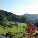 벨라스톤 컨트리클럽 이미지