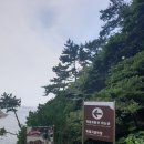 태원세무법인 - 파주시 금빛로 15 | 부산_BUSAN_여름휴가_ 기다리고_기다렸던_부산_ ๑♥‿♥๑_ 태종대 유람선 후기