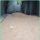 아카데미QED 이미지