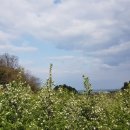 김태진농장 이미지