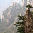 이백이몰 이미지