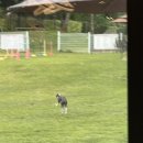 봉명동내커피상모점 이미지