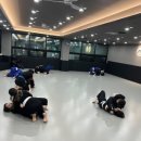 팀미르주짓수 네이버블로그