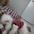 고운우리약국 이미지