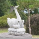 도암농장 이미지