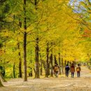 영주할인마트 이미지