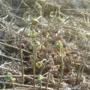 창선농업협동조합 이미지