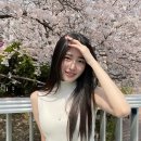 한가람 뉴스엔