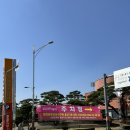 김천문화회관 (옥외2) | [김천여행] 2026년 김천 연화지 벚꽃 축제(+주차, 후기)