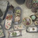 은비네농장 이미지