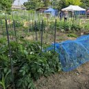 용산2농장 이미지