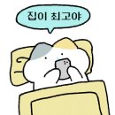 OWL(아울) 이미지