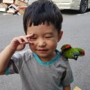 나들이세탁소 이미지