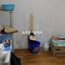 공단칼라 네이버블로그