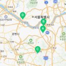 핏더독 이미지