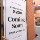 멍냥살롱 이미지