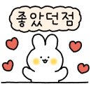 청춘자동세차 이미지