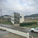 스테이 다로 2 네이버블로그