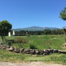 미소목장 이미지