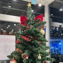 역삼역 조용한 대형 카페 유로스커피 로스터스