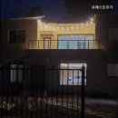 포레스트모가 이미지