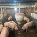 주식회사 환경제주 이미지