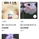 타투아쿠아