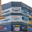 국가대표 태권 스포츠 이미지